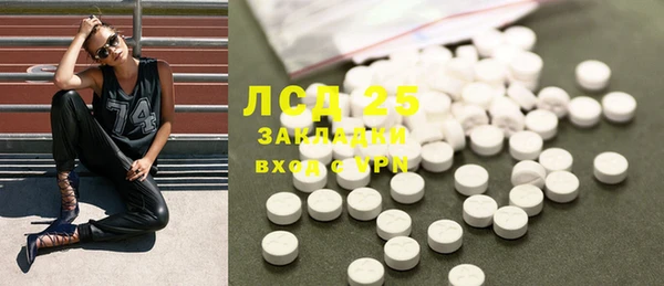 дживик Белокуриха