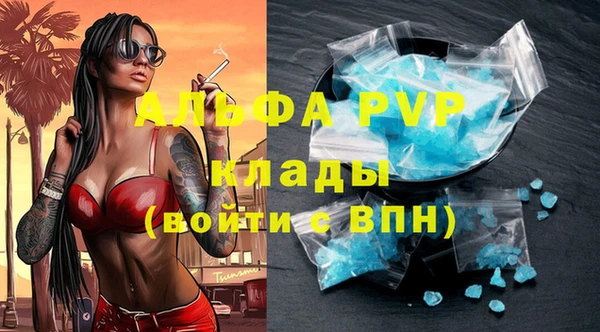 дживик Белокуриха