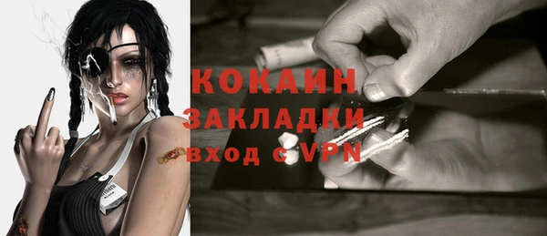 дживик Белокуриха
