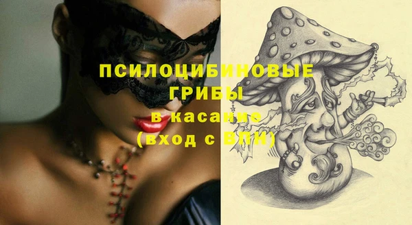 дживик Белокуриха