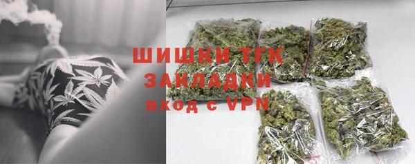 дживик Белокуриха