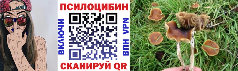 Псилоцибиновые грибы мухоморы  Куровское 